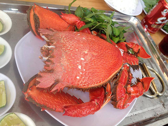 Cua huỳnh đế là một trong những đặc sản đắt đỏ nổi tiếng ở Lý Sơn, nó được coi là vua của các loại cua. Trước đây, cua huỳnh đế là một trong những đặc sản tiến vua bởi thịt ngon và chất lượng. Cua huỳnh đế có hình dáng khá lạ và bắt mắt. Loài này có bộ áo giáp dày và cứng, màu đỏ hồng, nhiều gai nhọn li ti xuôi theo thân. Càng cua to, cạnh sắc.