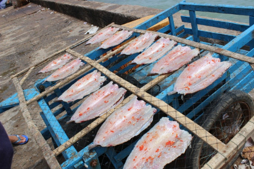 Khô cá: Cá phơi khô, được ngư dân sau mỗi chuyến đi biển đều để lại một phần, chế biến qua một quy trình chặt chẽ nên có hương vị rất đặc trưng. Cá khô ngon nhất là khi nướng trên than hồng, khi chuyển qua màu vàng sẽ có mùi thơm và màu sắc hấp dẫn. Nhâm nhi cá khô nướng là trải nghiệm rất thú vị khi đến đảo Nam Du. Ảnh: Internet.