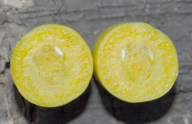 Thịt và hạt của loại cây này đều có thể ăn được, bên trong chứa nhiều nước và có hương thơm ngào ngạt.