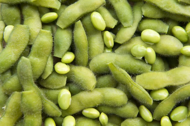 Đỗ tương: Protein trong quả đỗ tương chứa các chất dinh dưỡng tốt cho bạn, bao gồm cả axit linoleic. Nghiên cứu trên khoảng 4.000 phụ nữ cho thấy, những người có chế độ ăn nhiều axit linoleic sẽ có tỷ lệ teo da thấp hơn và ít hình thành nếp nhăn trên khuôn mặt.