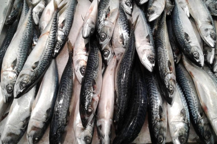 Cá béo: Loại cá giàu chất béo omega-3, omega-6 như cá ngừ, cá hồi, cá cơm... nên ăn thường xuyên. Các chất béo này có khả năng nuôi dưỡng làn da từ sâu bên trong và chống lão hóa cho phụ nữ tuổi 40.