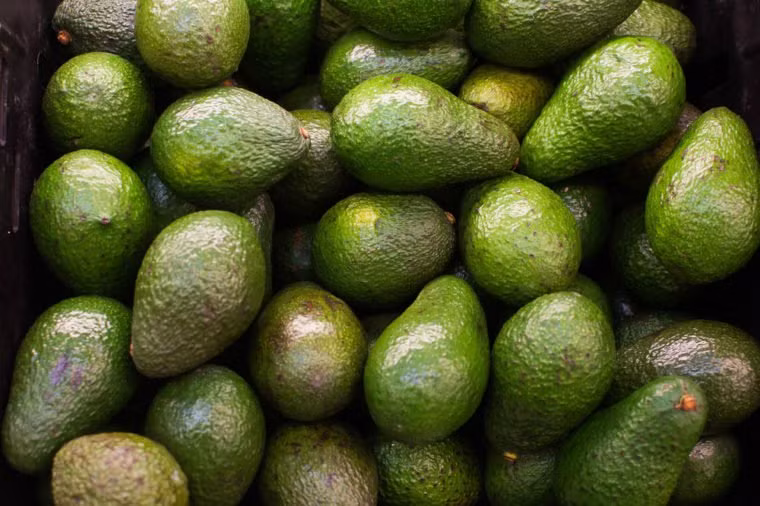 Quả bơ chứa các axit béo không bão hòa đơn. Theo chuyên gia dinh dưỡng, bơ có chứa chất béo chống viêm giúp giữ ẩm cho da, làm chậm nếp nhăn và bảo vệ làn da khỏi các độc tố có hại từ ánh nắng mặt trời.