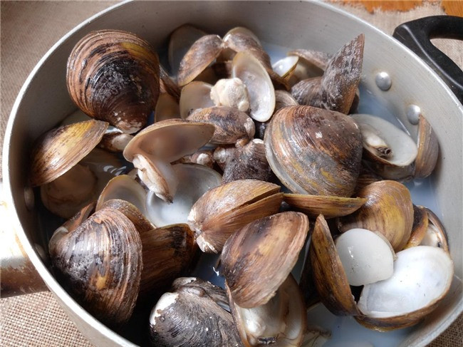 Chữa di tinh, đái đục: Vỏ hến nung, hoàng bá sao, liều lượng bằng nhau. Tán bột mịn. Ngày uống 2 lần, mỗi lần 10 – 15g.