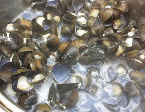 Chứng hay đi tiểu đêm: Thịt hến 50g, thịt lợn nạc 100g. Tất cả ninh nhừ, thêm muối vừa đủ. Ăn trong ngày.