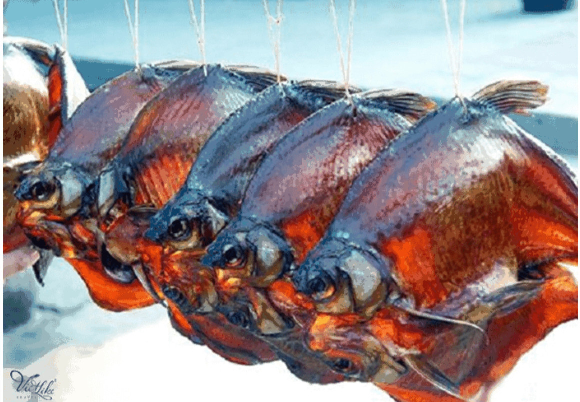 Cá muối của người dân tộc Miêu: Đây cũng là một món ăn truyền thống của người Miêu ở Phượng Hoàng Cổ Trấn. Những con cá thường được nuôi trong ruộng lúa. Cá muối có hương vị cực kỳ đặc biệt, cả thịt lẫn xương đều mềm và ngọt.