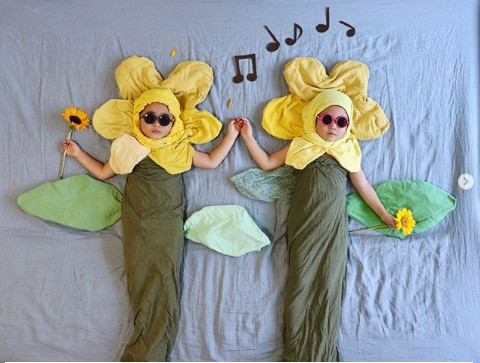 Hai bông hoa hướng dương xinh xắn.