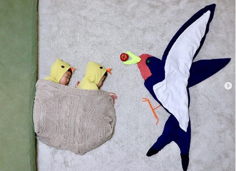 Cặp chim non đang chờ mẹ mớn mồi.