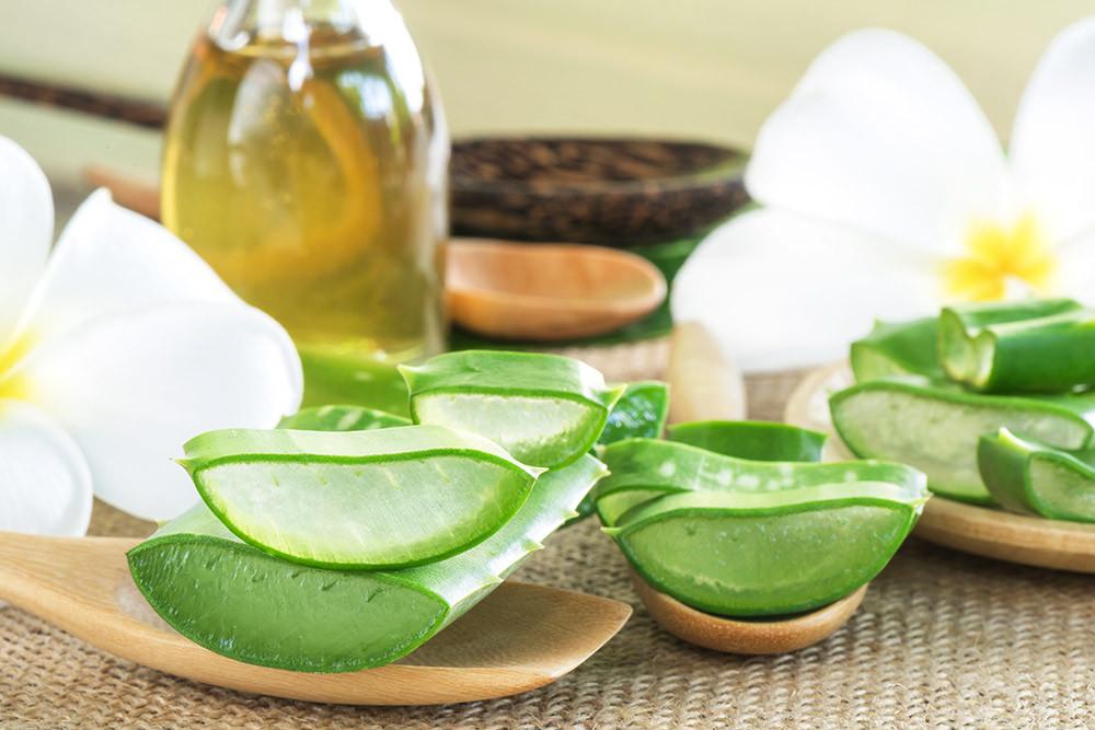 Cách thực hiện: Lấy hai thìa canh gel nha đam trộn với một vài giọt dầu hạnh nhân vào trong chén. Đắp hỗn hợp này lên da vùng đùi và massage trong vài phút. Sau đó, rửa sạch hỗn hợp này bằng nước hơi ấm và một ít xà phòng rửa mặt.