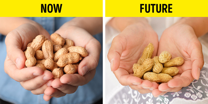 Đậu phộng (lạc): Trên thực tế, lạc là loài thực vật này ưa khí hậu ấm áp, tuy nhiên chúng đòi hỏi lượng mưa từ 500-1000 mm. Đây là lý do tại sao lạc cũng được đưa vào danh sách các loại thực phẩm chịu ảnh hưởng vì thời tiết nóng và khô hạn của hiện tượng nóng lên toàn cầu. 