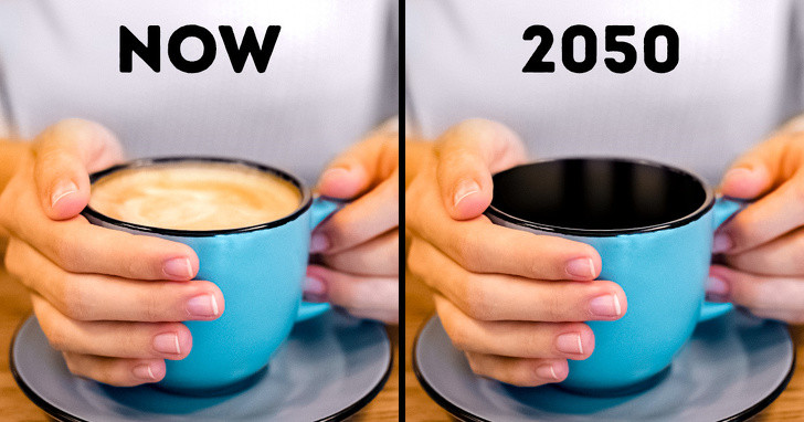 Số lượng cà phê cũng sẽ giảm đi do sự nóng lên toàn cầu. Khoảng 50% diện tích trên thế giới phù hợp cho sản xuất cà phê có nguy cơ bị giảm đáng kể vào năm 2050. Mọi người sẽ phải đối mặt với các vấn đề như giá cà phê tăng cao do thiếu hụt nguồn cung cũng như hương vị cà phê không còn được như trước.