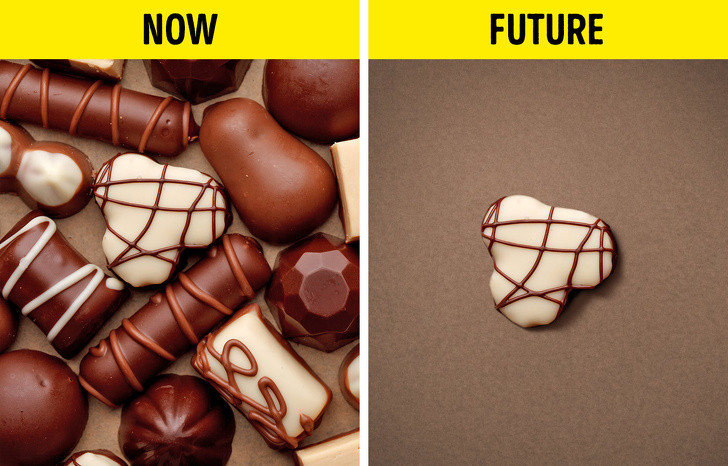 Socola có lẽ là thực phẩm quen thuộc và được nhiều người ưa chuộng nhất thế giới. Đáng buồn thay, thực trạng biến đổi khí hậu Trái Đất đang diễn ra có thể dẫn đến sự tuyệt chủng của cây ca cao (nguyên liệu chính để tạo ra chocolate).