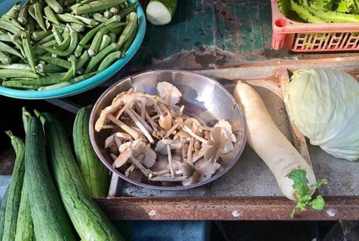 Theo y học, nấm mối có giá trị dinh dưỡng rất cao, có khả năng phòng ngừa ung thư hoặc chống lão hóa…Vì vậy, một một số nơi còn ví gọi nó là "nấm vua". Ảnh: Dân Việt.