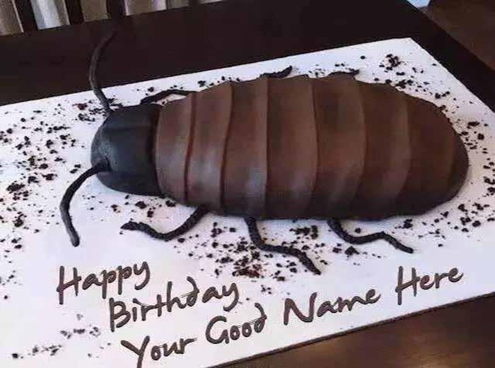 Chiếc bánh hình con bọ dành cho người yêu thích động vật? Ảnh: QQ, Sohu.