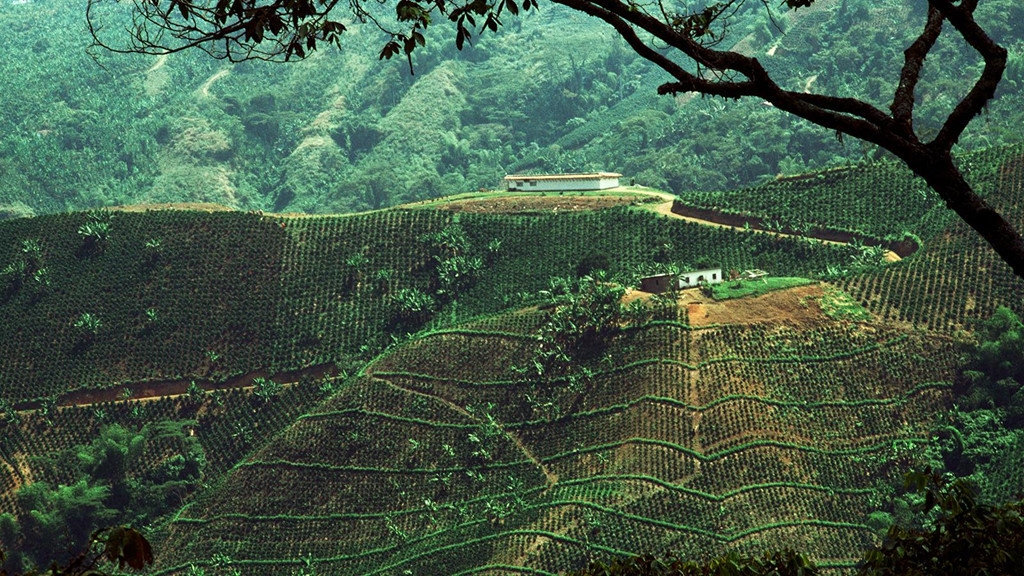3. Tutendo, Colombia: Làng Tutendo nằm ở Colombia có lượng mưa trung bình mỗi năm chỉ xếp sau Cherrapunji 7 mm. Mỗi năm tại đây có 2 mùa mưa, do vậy đây cũng là khu vực có lượng mưa cao nhất Nam Mỹ. Ngay cả giữa mùa khô, người ta vẫn ghi nhận được 20 ngày mưa mỗi tháng. Với dân số chỉ vỏn vẹn khoảng 1.000 người, những ngôi nhà tại đây luôn phải lợp bằng tấm chống nước để tránh sự ẩm thấp. Ảnh: Nationalgeographic.