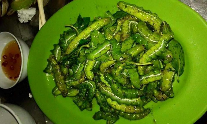 Sâu khoai: Trong số các món nhậu từ sâu, sâu khoai cũng là “mồi nhậu” khoái khẩu của cánh đàn ông. Bề ngoài sâu khoai có thể sẽ khiến bạn “khiếp đảm” vì nó vừa to vừa mềm nhũn, lại xanh nhũn.