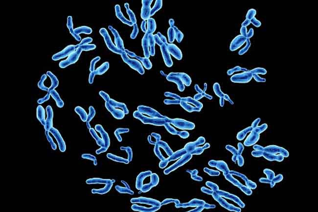 Các nguyên nhân khác: Những người có cấu trúc tai yếu bẩm sinh, có những chấn thương như rạn hộp sọ hoặc thủng màng nhĩ có thể bị mất khả năng nghe. Một số loại thuốc cũng có thể gây suy giảm thính giác. Khiếm thính cũng có thể là do di truyền; khiếm thính bẩm sinh có thể được chẩn đoán ngay khi trẻ sinh ra, hoặc có thể được phát hiện muộn hơn.