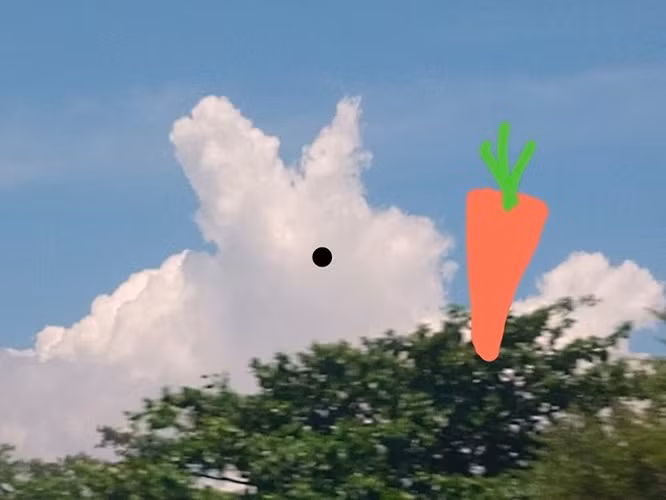 3. Mây trời trông giống một chú thỏ đang tìm của cà rốt.