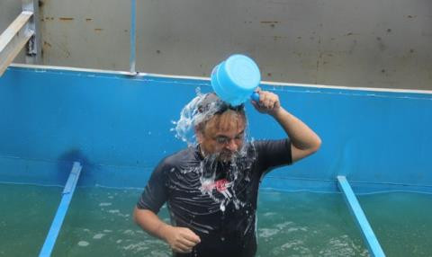 Ca Koi tha o song To Lich se ra sao?-Hinh-2