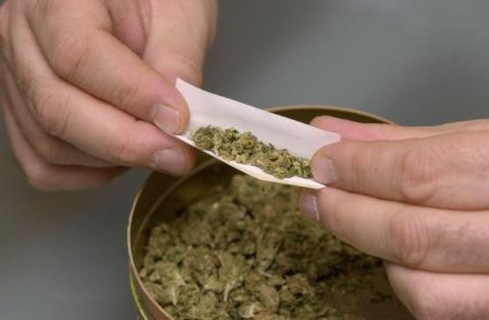 Cỏ Mỹ có hình dạng giống như cần sa nhưng sợi vụn hơn, mùi hơi khét, dạng nhựa cháy chứ không "tỏa hương" như cần sa. Cỏ Mỹ khá nguy hiểm vì có thể gây loạn thần với các triệu chứng ảo giác và hoang tưởng. Ảnh: Internet.