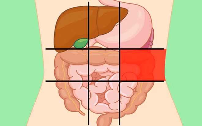 Vị trí giữa ở phía bên trái: Ngoài thận trái, khu vực này cũng chứa đại tràng. Cơn đau có thể do đại tràng bị nhiễm trùng hoặc viêm do chế độ ăn uống không lành mạnh, lão hóa... Đau bụng liên tục và kéo dài kèm sốt, buồn nôn và nôn là những triệu chứng điển hình của viêm túi thừa hoặc viêm đại tràng.