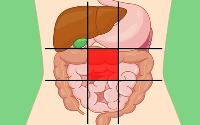 Vị trí đau nằm chính giữa bụng: Bất kỳ cảm giác khó chịu ở giữa bụng có liên quan chặt chẽ đến các vấn đề trong ruột non và ruột già. Đau bụng và chuột rút đi kèm tiêu chảy nghiêm trọng, mệt mỏi, sốt và giảm cân chỉ ra bệnh viêm ruột.