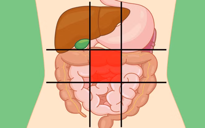 Vị trí đau nằm chính giữa bụng: Bất kỳ cảm giác khó chịu ở giữa bụng có liên quan chặt chẽ đến các vấn đề trong ruột non và ruột già. Đau bụng và chuột rút đi kèm tiêu chảy nghiêm trọng, mệt mỏi, sốt và giảm cân chỉ ra bệnh viêm ruột.