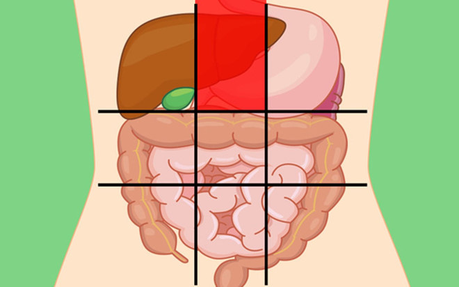 Vị trí phía trên ở giữa bụng: Nếu bạn thường xuyên bị đau lan ra lưng và trở nên trầm trọng hơn khi ăn, đặc biệt là thực phẩm giàu chất béo, đây có thể là dấu hiệu viêm tụy. Vị trí đau bụng này kèm theo buồn nôn, nôn, tiêu chảy và sưng bụng cảnh báo vùng thượng vị có vấn đề.