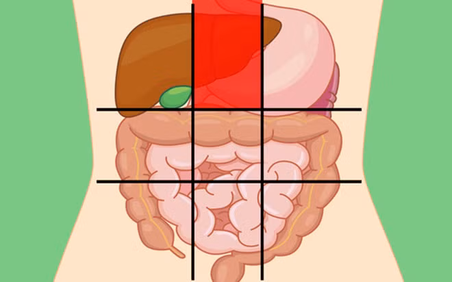 Vị trí phía trên ở giữa bụng: Nếu bạn thường xuyên bị đau lan ra lưng và trở nên trầm trọng hơn khi ăn, đặc biệt là thực phẩm giàu chất béo, đây có thể là dấu hiệu viêm tụy. Vị trí đau bụng này kèm theo buồn nôn, nôn, tiêu chảy và sưng bụng cảnh báo vùng thượng vị có vấn đề.