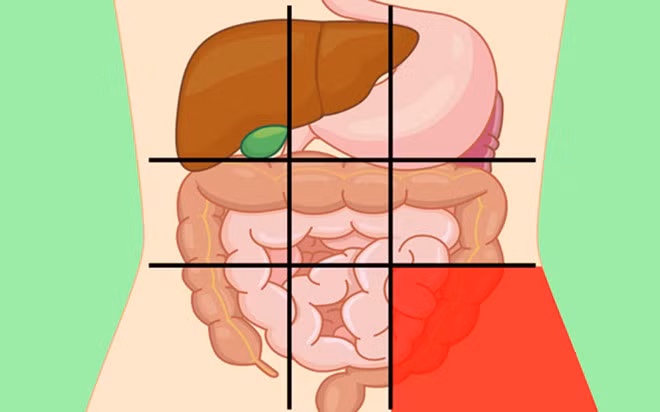 Vị trí phía dưới bên trái: Một phần lớn ruột già nằm ở đây, đó là lý do nếu gặp một số vấn đề với cơ quan này, rất có thể bạn bị đau ở vùng bụng dưới bên trái. Đau bụng đi kèm với chuột rút, đầy hơi, khí dư, tiêu chảy hoặc táo bón có thể là triệu chứng của hội chứng ruột kích thích. Ảnh: BS.