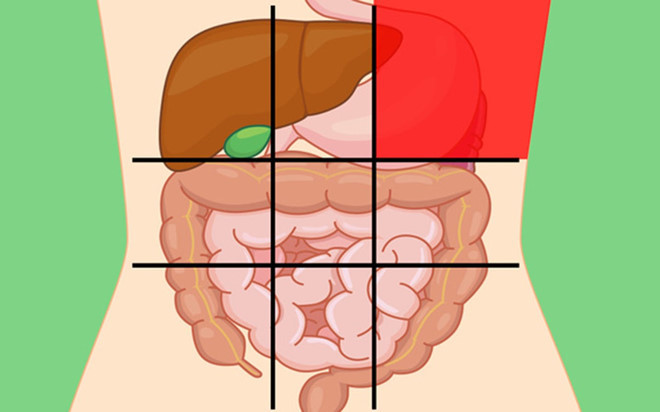 Vị trí phía trên bên trái: Phần lớn nhất của dạ dày tập trung ở vùng bụng này, do đó, bất kỳ cảm giác đau bất thường nào có thể chỉ ra vấn đề với cơ quan đó. Đau dữ dội, dai dẳng kèm theo buồn nôn hoặc nôn có thể là dấu hiệu của viêm hoặc đau dạ dày. Đau rát thường dữ dội hơn khi đói có thể là loét dạ dày.