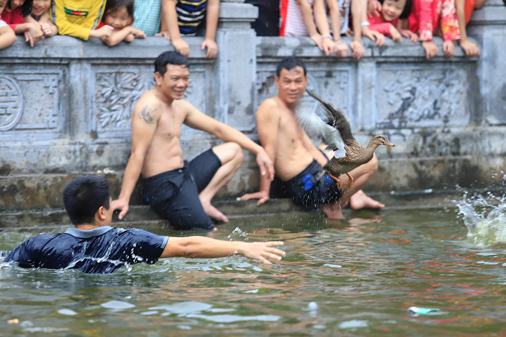 Người chơi tìm mọi cách cả trên cạn, lẫn dưới nước để bắt được vịt. Những chú vịt quá tinh quái bay ngay tức khắc nếu có người tiến sát.