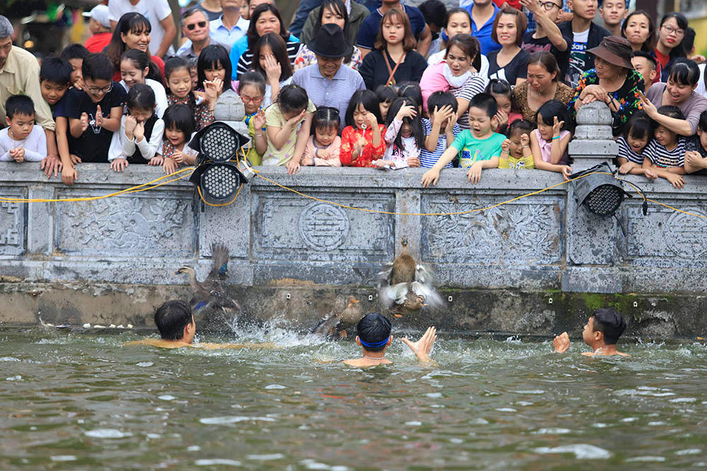 Các mạnh thường quân cùng nhau đóng góp tiền thưởng. Số vịt trong ao ít đi, tiền thưởng tăng lên, với phần thưởng 200-300 nghìn đồng cho mỗi con. 