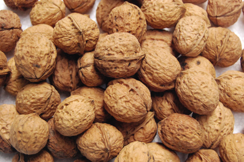 Giúp da sáng đẹp hơn, làm mờ nếp nhăn: Quả óc chó là nguồn vitamin E tuyệt vời kết hợp lượng lớn gamma-tocopherol giúp bảo vệ da khỏi các gốc tự do, duy trì và cải thiện sức khỏe da.