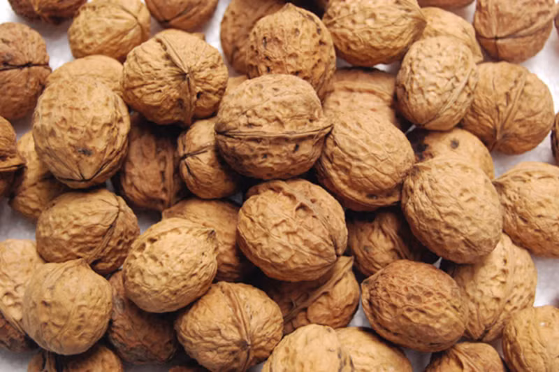 Giúp da sáng đẹp hơn, làm mờ nếp nhăn: Quả óc chó là nguồn vitamin E tuyệt vời kết hợp lượng lớn gamma-tocopherol giúp bảo vệ da khỏi các gốc tự do, duy trì và cải thiện sức khỏe da.