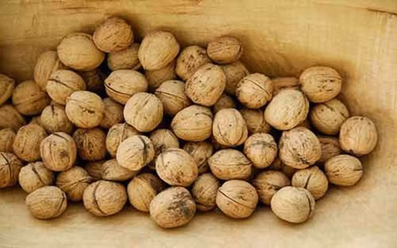 Giảm viêm: Các hợp chất polyphenolic có trong quả óc chó làm giảm bất kỳ tình trạng viêm nào trên cơ thể cũng như các triệu chứng và bệnh có liên quan đến viêm, giúp bạn kiểm soát được tổn thương, không làm bệnh tiến triển hơn lên.