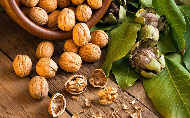 Tạo giấc ngủ sâu, thư giãn: Quả óc chó là nguồn dinh dưỡng tự nhiên và cung cấp phong phú chất melatonin giúp bạn cảm thấy thư giãn, dễ đi vào giấc ngủ.