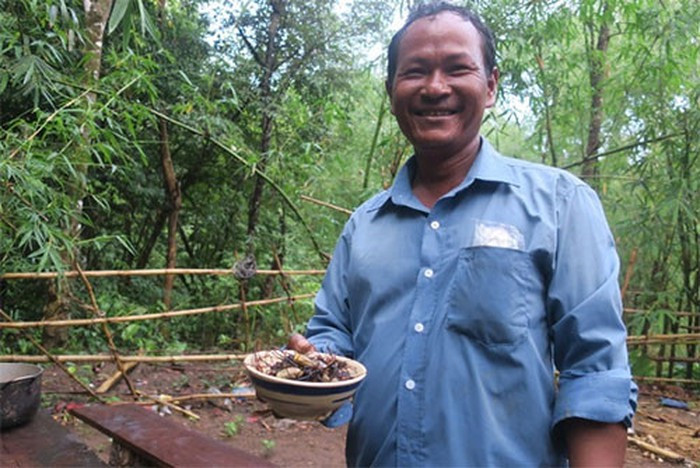 Cách chế biến khá đơn giản. Nếu không mang theo xoong nồi thì xâu từng con lại trong xiên tre rồi nướng trên than củi. Còn không, thì rang nhện bằng nước mắm hoặc muối cho đậm đà. Nhện rừng ăn vào vừa bùi vừa béo, có chút tơ nhện rất đặc trưng.