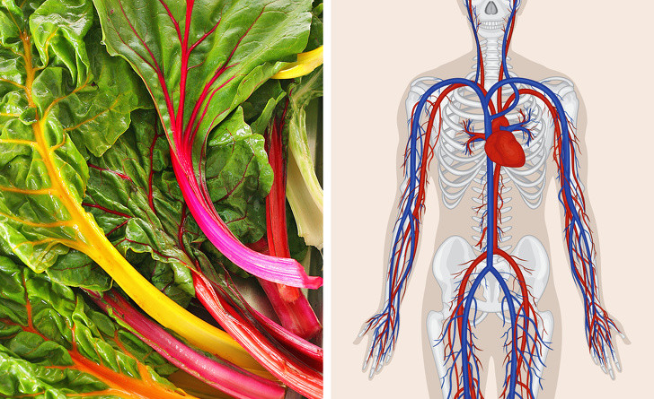 Chard (cải cầu vồng) là một loại rau lá xanh chứa nhiều vitamin K (giúp làm sạch máu và cải thiện tình trạng đông máu), và cả vitamin A và E, natri, magiê, canxi và sắt. Loại vitamin này giúp cải thiện lưu thông máu, Làm cho răng và xương chắc khỏe hơn, và giúp cơ thể chống lại virus.