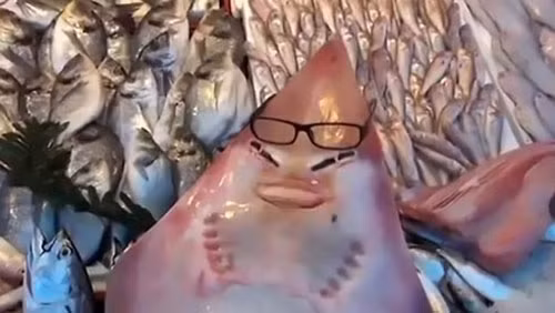 “Ca map mat nguoi” hiem gap sa luoi ngu dan