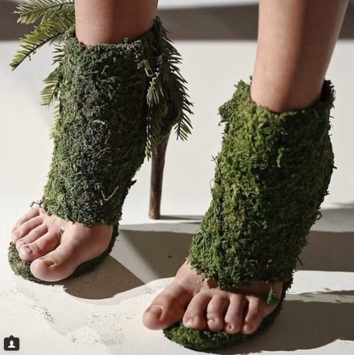 Đôi giày phủ đầy cỏ rêu xanh cực mát mẻ dành cho mùa hè nóng bức.