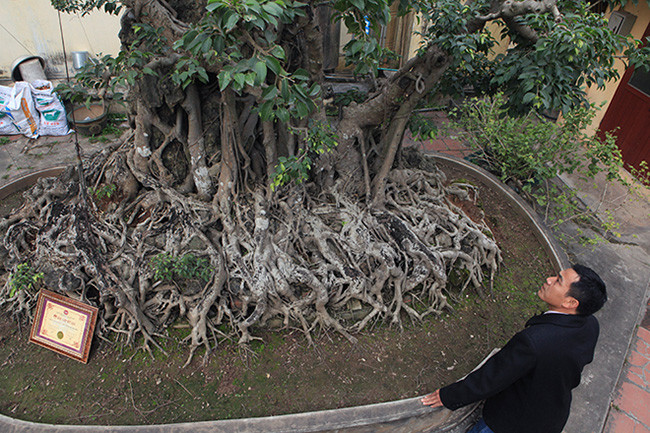 Hai cay sanh “khung” cua doanh nhan bi an o Ha Noi-Hinh-2