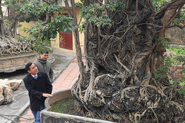 Hai cay sanh “khung” cua doanh nhan bi an o Ha Noi-Hinh-12