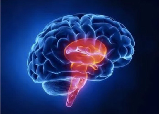 Thoi quen trong quan he tinh duc khien co gai 24 tuoi bi nhoi mau nao