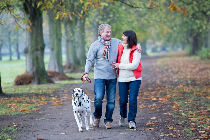 Đi bộ sau bữa ăn tối: Dù dịp nghỉ lễ Tết hay ăn uống thất thường nhưng bạn cần đảm bảo rằng bạn kết thúc bữa ăn tối trước 9 giờ tối và sau đó đi bộ 30 phút quanh khu phố hoặc trong công viên gần nhất. Thói quen này có thể hỗ trợ tiêu hóa tốt, cũng như giúp giảm cân. Ảnh: RD.