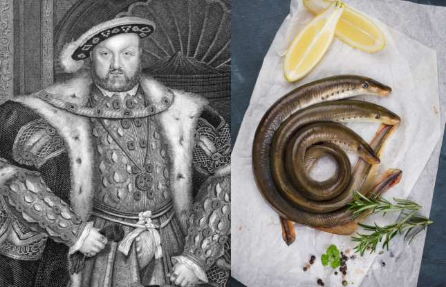 Vua Henry VIII Tudor đặc biệt yêu thích trái cây nhất là quả mơ, mứt mộc qua và bánh cam cùng các loại rau như atisô. Ông cũng yêu thích món cá đuối nướng và kem hạnh nhân.