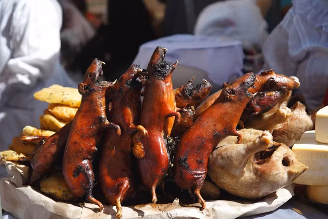 6. Thịt chuột Cuy nướng: Đây chính là thịt chuột lang nướng, một trong những món ăn nổi tiếng nhất của Peru. Thịt chuột Cuy nướng được xem là món ăn tuyệt vời cho chế độ ăn kiêng của người Andean từ 5.000 năm trước. 
