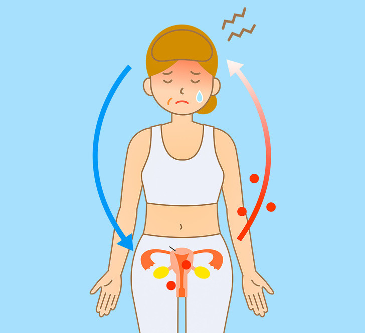 Giảm các cơn “bốc hỏa”: Một nghiên cứu nhỏ tại Phòng khám Mayo ở Rochester (Mỹ) thực hiện trên 29 phụ nữ bị 14 cơn bốc hỏa mỗi tuần trong ít nhất một tháng. Các nhà nghiên cứu phát hiện ra rằng phụ nữ đã cắt giảm một nửa số cơn bốc hỏa hàng ngày và cường độ của các cơn nóng cũng đã giảm 57%.