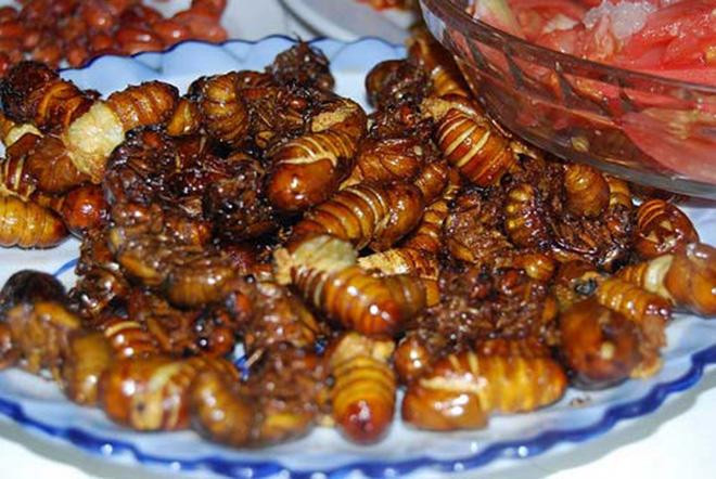 Ve sầu sữa chiên giòn: Món ăn này chỉ mới phổ biến trong vài năm gần đây nhưng đã được rất nhiều nhà du khách yêu thích và tìm đến để thưởng thức. Những chú ve sầu này được bắt về trong khoảng thời gian chúng lột xác, sau đó chúng được bỏ vảo một chảo dầu nóng, khi ve bắt đầu có mùi thơm và chín vàng.