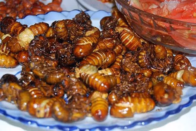 Ve sầu sữa chiên giòn: Món ăn này chỉ mới phổ biến trong vài năm gần đây nhưng đã được rất nhiều nhà du khách yêu thích và tìm đến để thưởng thức. Những chú ve sầu này được bắt về trong khoảng thời gian chúng lột xác, sau đó chúng được bỏ vảo một chảo dầu nóng, khi ve bắt đầu có mùi thơm và chín vàng.