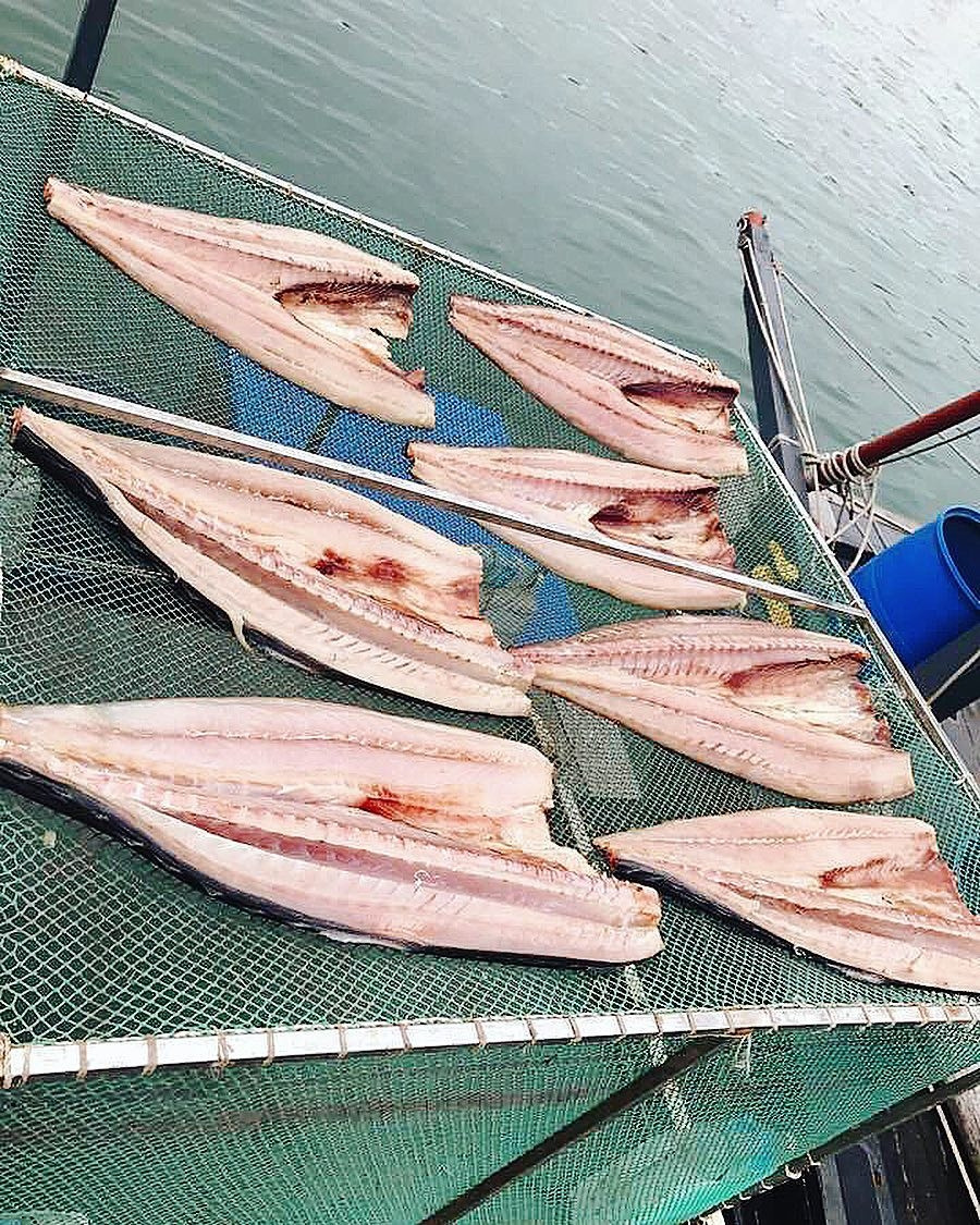 Cá thu một nắng: Trong vô vàn các loài cá biển thì có lẽ, cá thu là loài được nhiều người biết đến nhất, không chỉ vì chất lượng ngon tuyệt vời mà còn vì hàm lượng dinh dưỡng từ đạm khá cao. Tuy nhiên, cá thu có một nhược điểm cực lớn là khó bảo quản, người không có kinh nghiệm, bảo quản cá thu rất dễ làm hỏng cả một mẻ cá. Thịt cá thu tươi đã ngon, nay đem phơi một nắng rồi mới chế biến thì hương vị lại đặc sắc hơn rất nhiều lần.